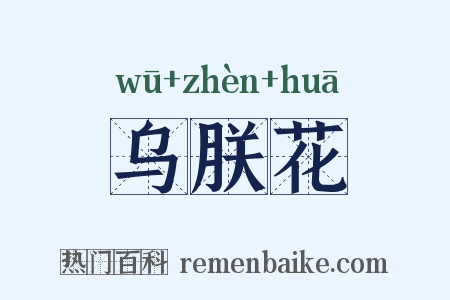 乌朕花是什么意思的图片